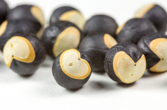 Cardiomosperum Samen