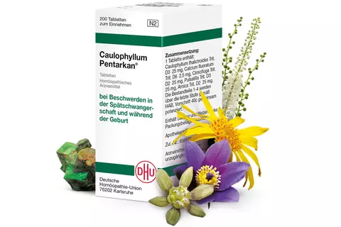 Pentarkan Caulophyllum